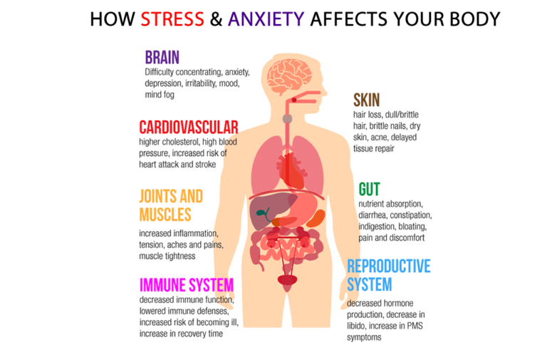 how stress and anxiety affects your body | wirral chiropractor